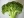 broccoli klein 005